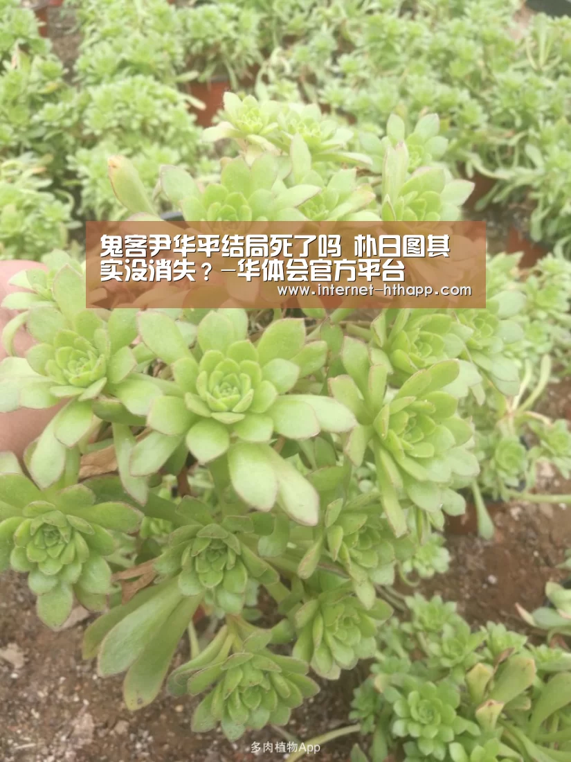 华体会官网下载