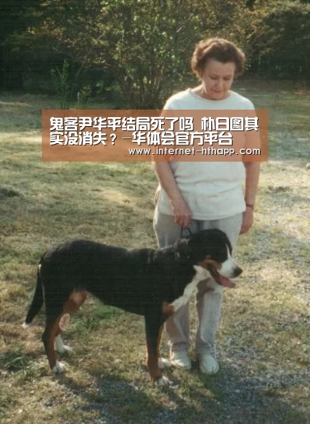 华体会体育app下载