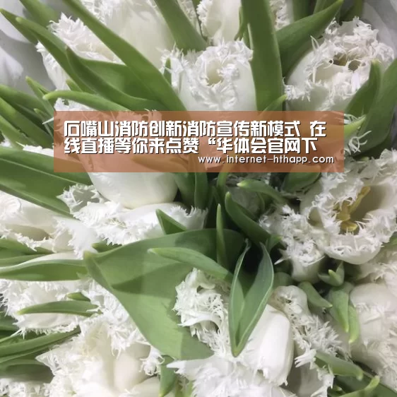 石嘴山消防创新消防宣传新模式 在线直播等你来点赞“华体会官网下载”(图4) 华体会官网下载