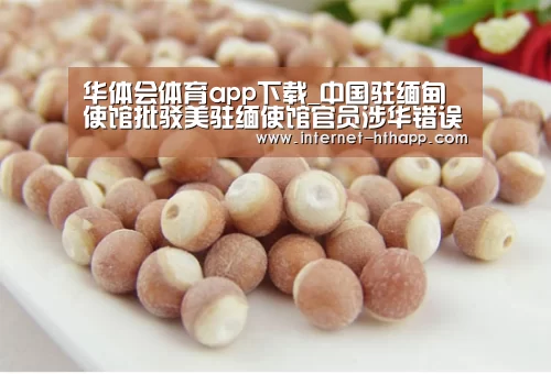 华体会体育app下载_中国驻缅甸使馆批驳美驻缅使馆官员涉华错误论调(图4) 华体会体育app下载